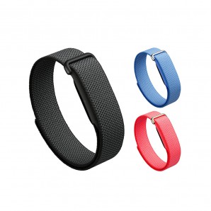 Google Fitbit Air