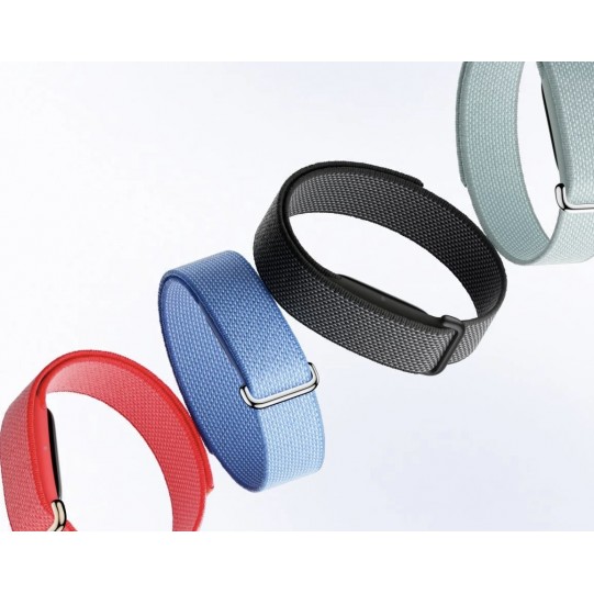Google Fitbit Air 