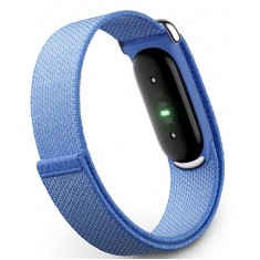 Google Fitbit Air 