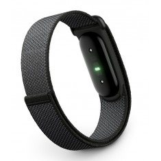 Google Fitbit Air 