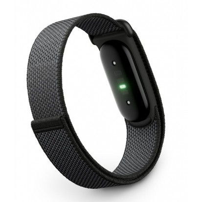 Google Fitbit Air 
