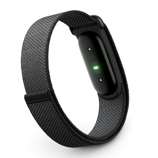 Google Fitbit Air 