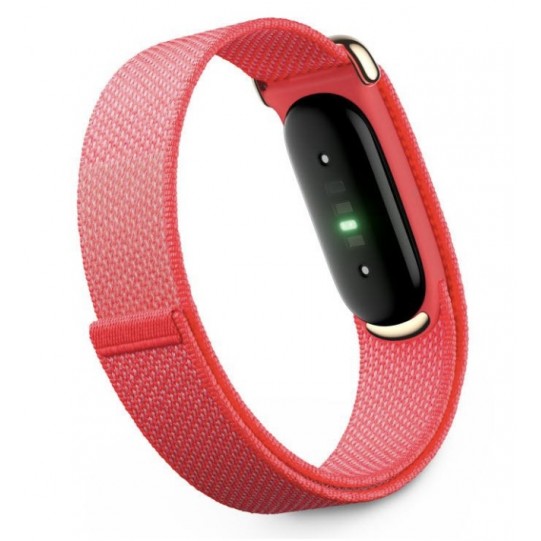 Google Fitbit Air 