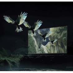 XIAOMI TV S MINI LED 55