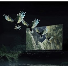 XIAOMI TV S MINI LED 55