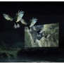 XIAOMI TV S MINI LED 55 XIAOMI TV S MINI LED 55